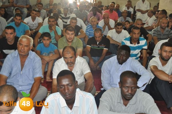 bazsalah lud 712 (65).JPG